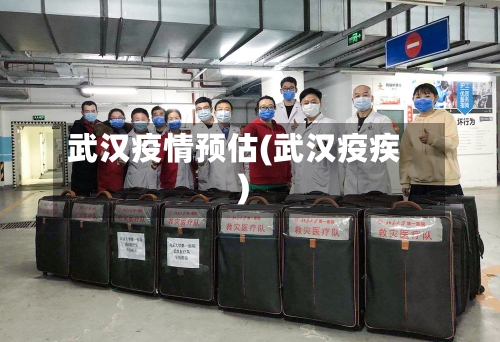 武汉疫情预估(武汉疫疾)-第2张图片