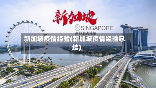 新加坡疫情经验(新加坡疫情经验总结)-第3张图片