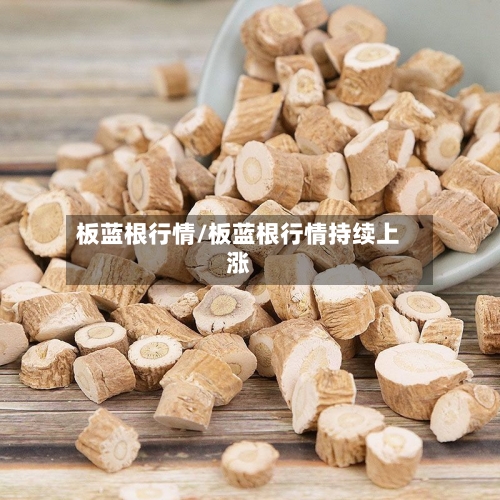 板蓝根行情/板蓝根行情持续上涨-第2张图片