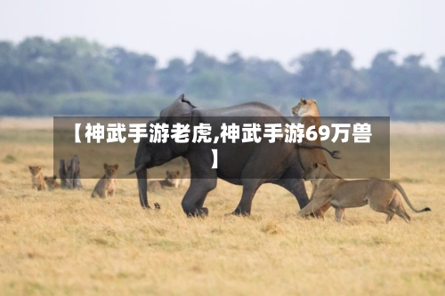 【神武手游老虎,神武手游69万兽】