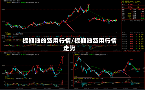 棕榈油的费用行情/棕榈油费用行情走势-第3张图片