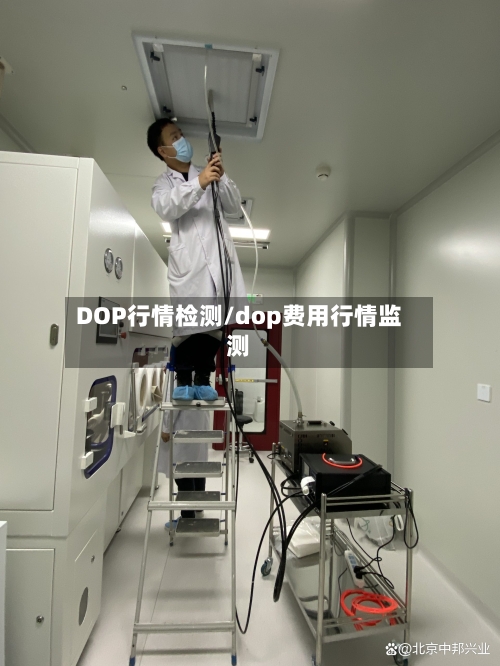 DOP行情检测/dop费用行情监测-第2张图片