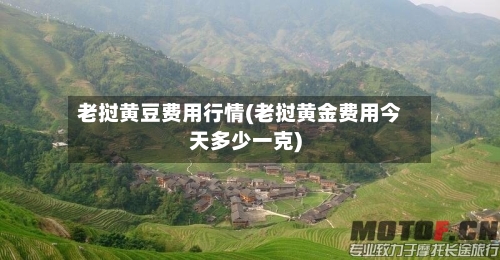 老挝黄豆费用行情(老挝黄金费用今天多少一克)