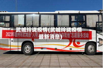 武城玲珑疫情(武城玲珑疫情最新消息)-第2张图片