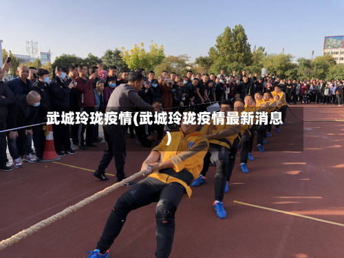 武城玲珑疫情(武城玲珑疫情最新消息)-第3张图片