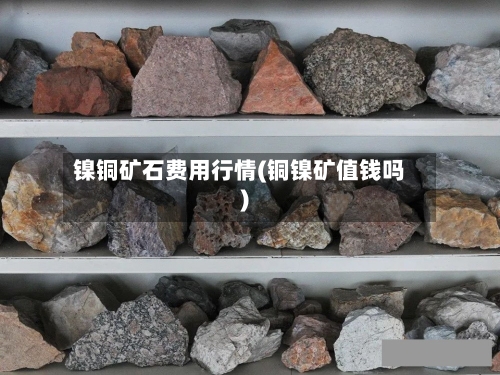 镍铜矿石费用行情(铜镍矿值钱吗)