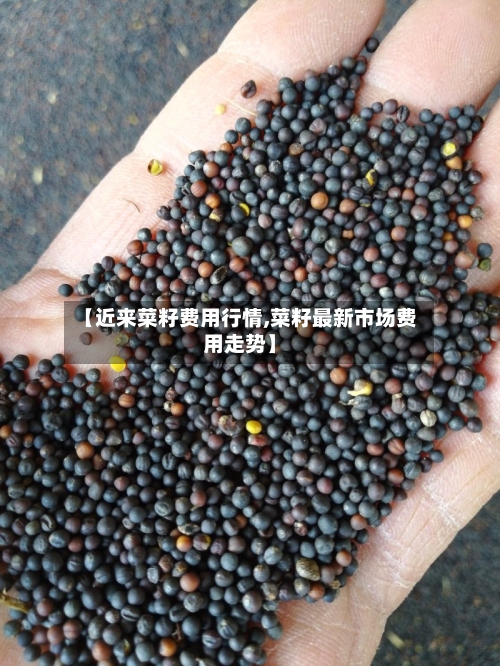 【近来菜籽费用行情,菜籽最新市场费用走势】-第2张图片
