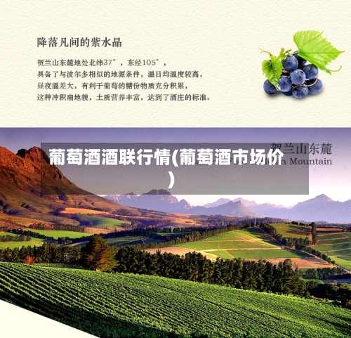 葡萄酒酒联行情(葡萄酒市场价)-第2张图片