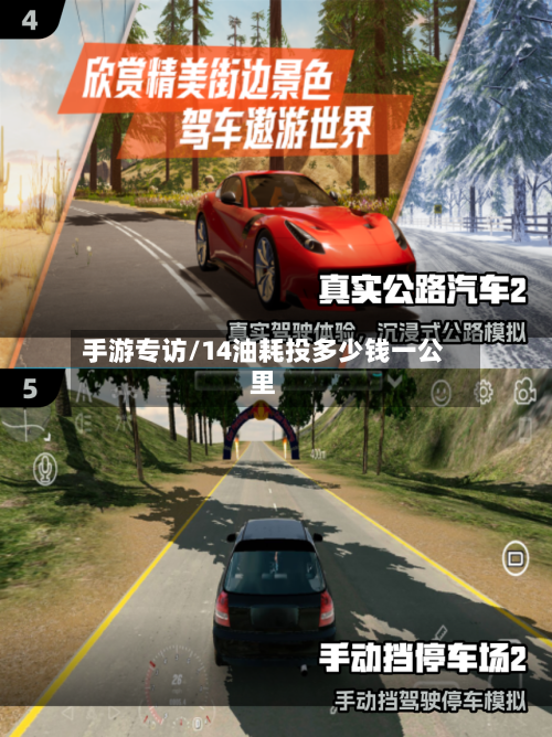 手游专访/14油耗投多少钱一公里-第3张图片