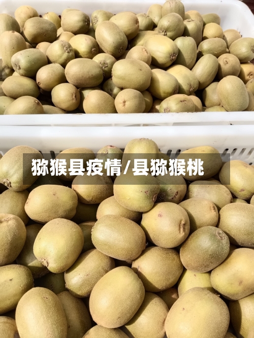 猕猴县疫情/县猕猴桃-第2张图片