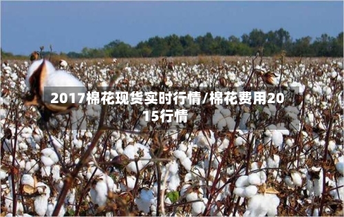 2017棉花现货实时行情/棉花费用2015行情