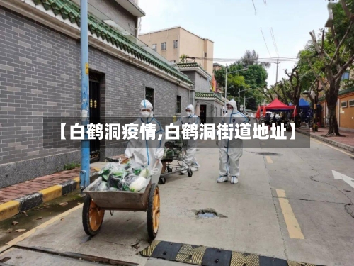 【白鹤洞疫情,白鹤洞街道地址】-第2张图片