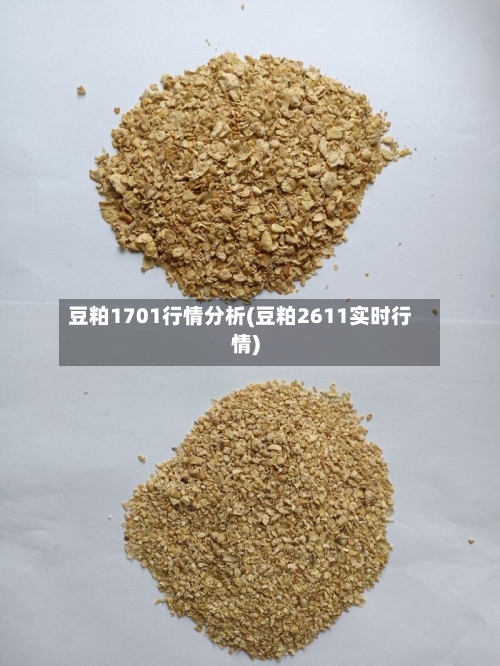 豆粕1701行情分析(豆粕2611实时行情)-第2张图片