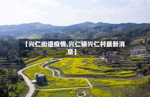 【兴仁街道疫情,兴仁镇兴仁村最新消息】-第3张图片
