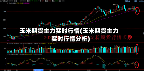 玉米期货主力实时行情(玉米期货主力实时行情分析)-第2张图片