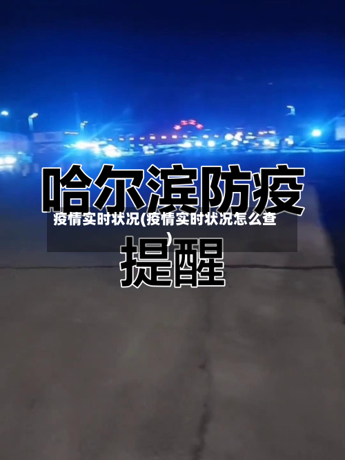 疫情实时状况(疫情实时状况怎么查)