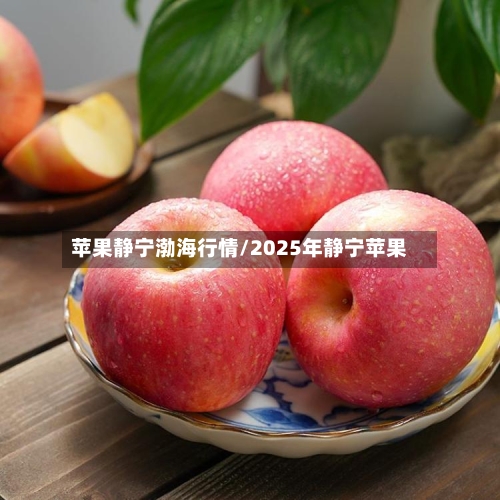 苹果静宁渤海行情/2025年静宁苹果-第3张图片