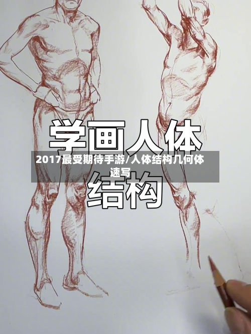 2017最受期待手游/人体结构几何体速写