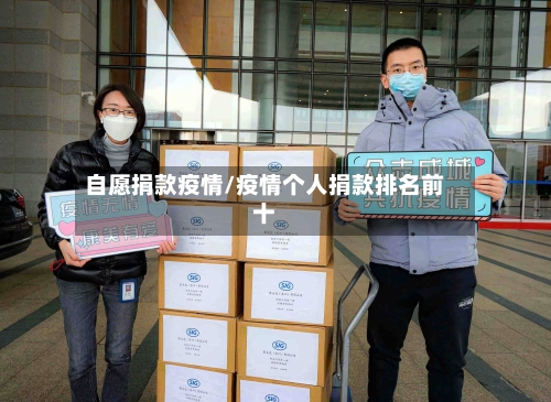 自愿捐款疫情/疫情个人捐款排名前十