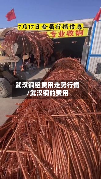 武汉铜铝费用走势行情/武汉铜的费用