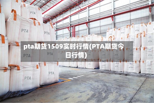 pta期货1509实时行情(PTA期货今日行情)