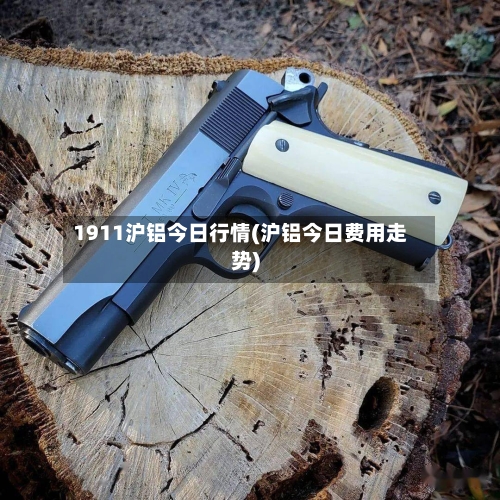 1911沪铝今日行情(沪铝今日费用走势)-第2张图片