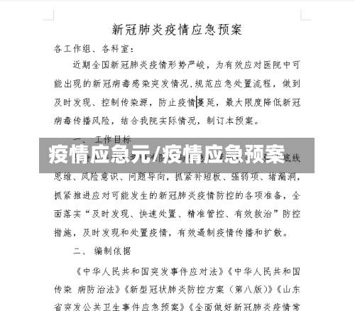 疫情应急元/疫情应急预案