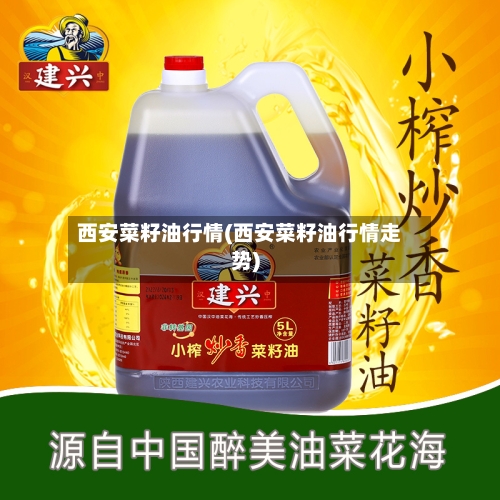 西安菜籽油行情(西安菜籽油行情走势)