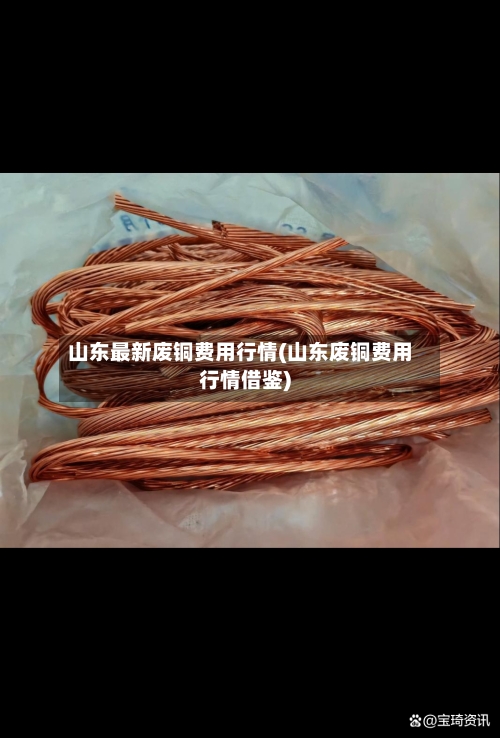 山东最新废铜费用行情(山东废铜费用行情借鉴)-第2张图片