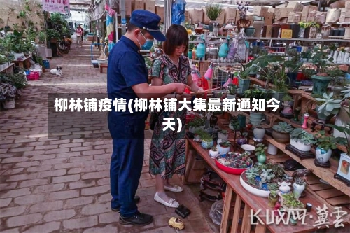 柳林铺疫情(柳林铺大集最新通知今天)-第3张图片