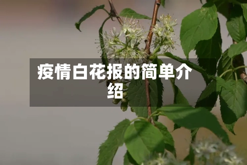 疫情白花报的简单介绍-第2张图片