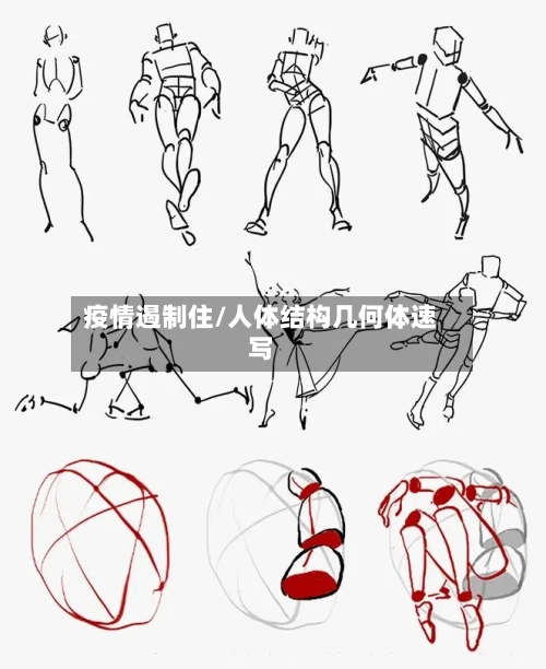 疫情遏制住/人体结构几何体速写