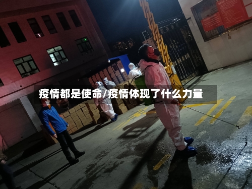 疫情都是使命/疫情体现了什么力量-第2张图片