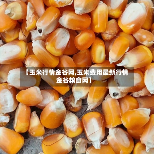 【玉米行情金谷网,玉米费用最新行情金谷粮食网】