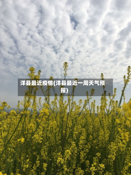 洋县最近疫情(洋县最近一周天气预报)-第2张图片