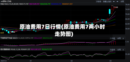 原油费用7日行情(原油费用7两小时走势图)