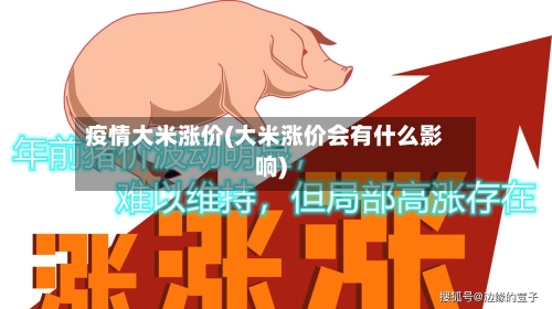 疫情大米涨价(大米涨价会有什么影响)