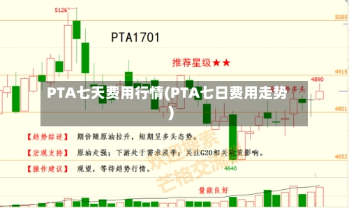 PTA七天费用行情(PTA七日费用走势)