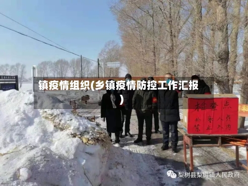 镇疫情组织(乡镇疫情防控工作汇报)