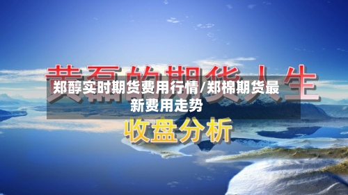 郑醇实时期货费用行情/郑棉期货最新费用走势-第2张图片