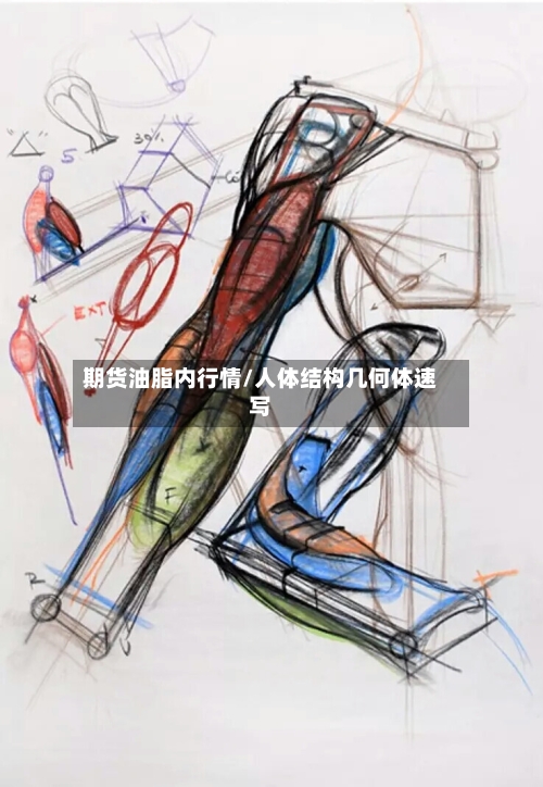 期货油脂内行情/人体结构几何体速写