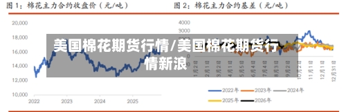 美国棉花期货行情/美国棉花期货行情新浪-第2张图片