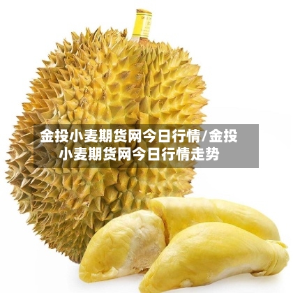 金投小麦期货网今日行情/金投小麦期货网今日行情走势-第3张图片