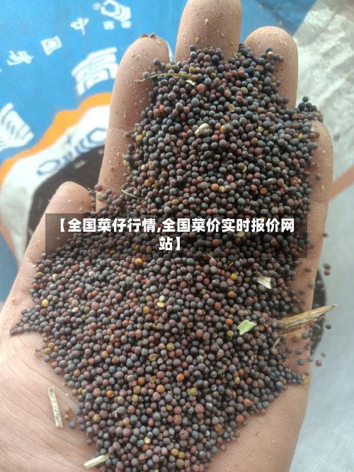 【全国菜仔行情,全国菜价实时报价网站】