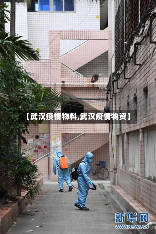 【武汉疫情物料,武汉疫情物资】-第2张图片