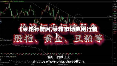 【豆粕行情网,豆粕市场费用行情】-第3张图片
