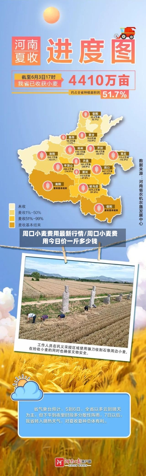 周口小麦费用最新行情/周口小麦费用今日价一斤多少钱-第3张图片