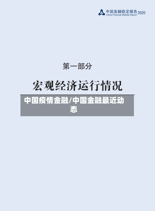中国疫情金融/中国金融最近动态