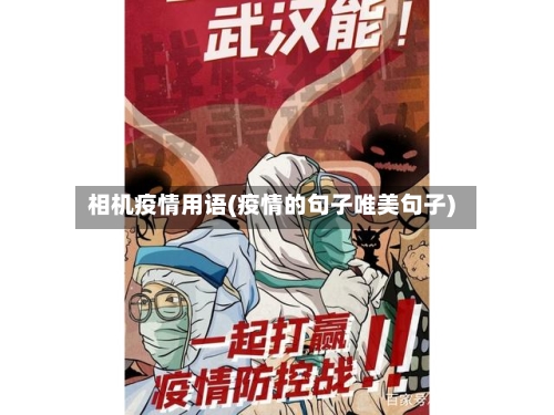 相机疫情用语(疫情的句子唯美句子)-第2张图片
