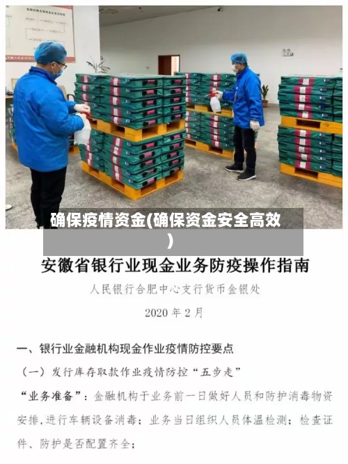 确保疫情资金(确保资金安全高效)